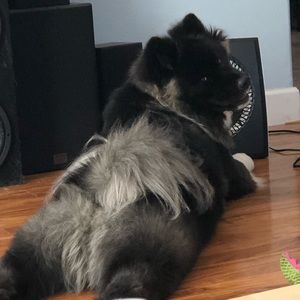 Meet your Posher, Bettina